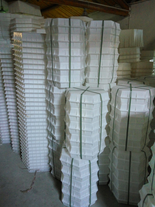 Moules en plastique blancs de machine à paver d'allée pour la longueur latérale 20cm de briques * taille 16cm